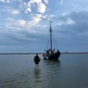 wadden sea