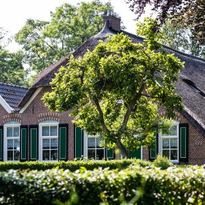 staphorst_farm