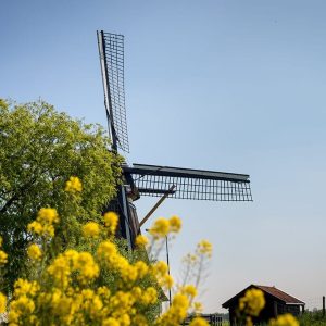 walk_outside_abcoude_windmill-1024x683-2 (1)