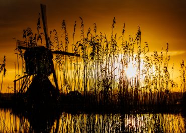 Kinderdijk