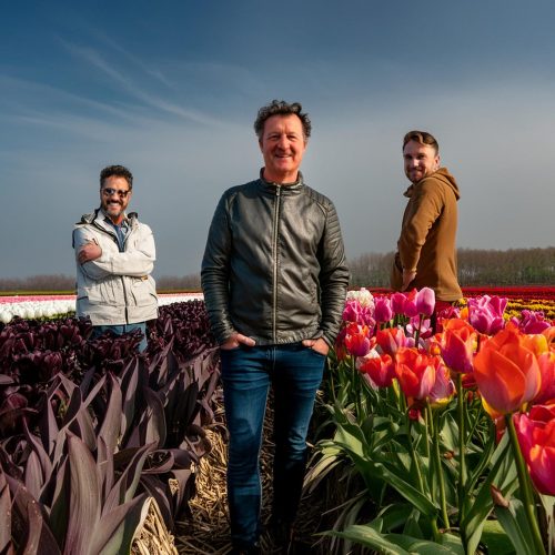 Firefly blije groep 40 jarige in een nederlandse bloemen veld 96363