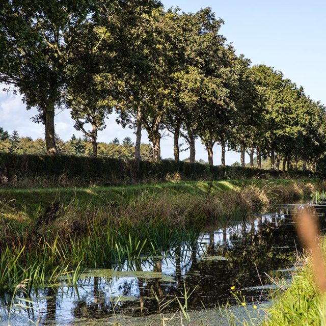 Canal-1024x684-1