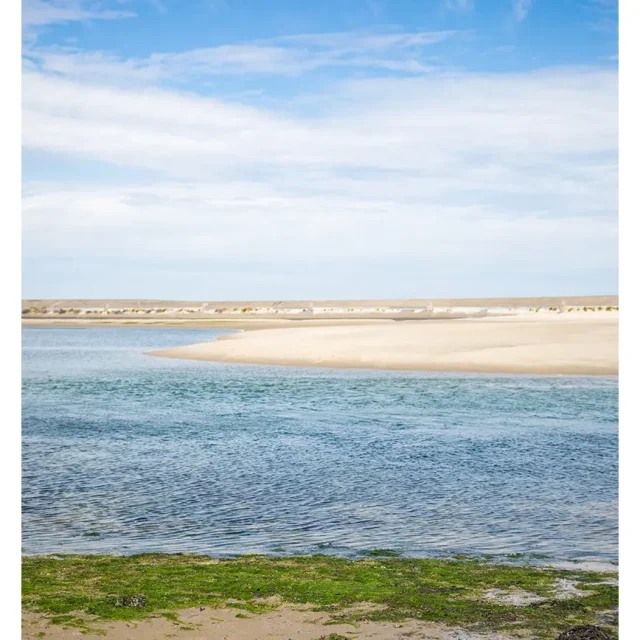 WildWier-64-website.jpg
