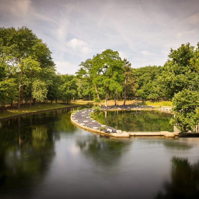 hiking_spotting_wildlife_dutch_dunes_nature_reserve