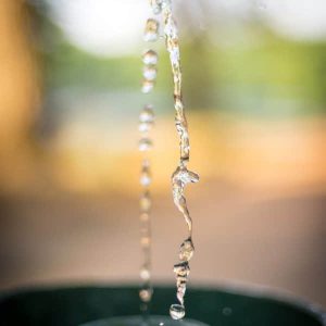hiking_spotting_wildlife_dutch_dunes_water-600x840-1