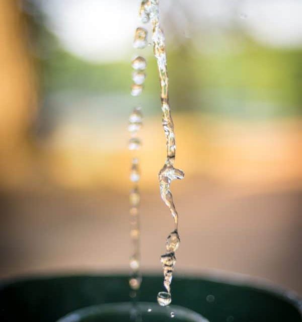 hiking_spotting_wildlife_dutch_dunes_water-600x840-1