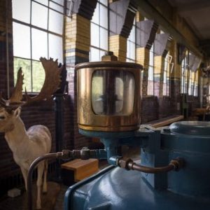 hiking_spotting_wildlife_dutch_dunes_water_purification-600x401-1