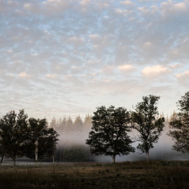 hoenderloo_cloudy_landscape