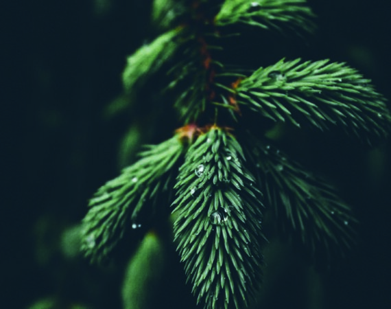 5 Christmas Gift Ideas from A Dutch Experience - ADE