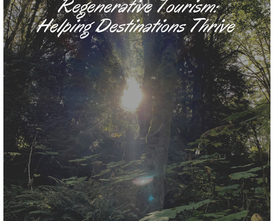 Regenerative Tourism: The Future of Sustainable Travel