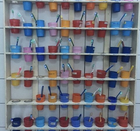 Embarking on a Journey of Regenerative Tourism: A Personal Experience