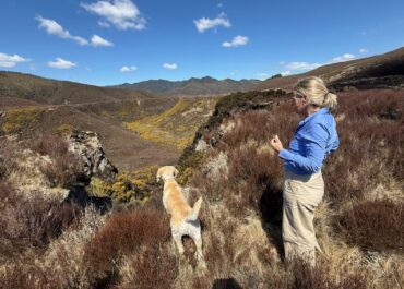 Why We Travel — And What We Bring Home