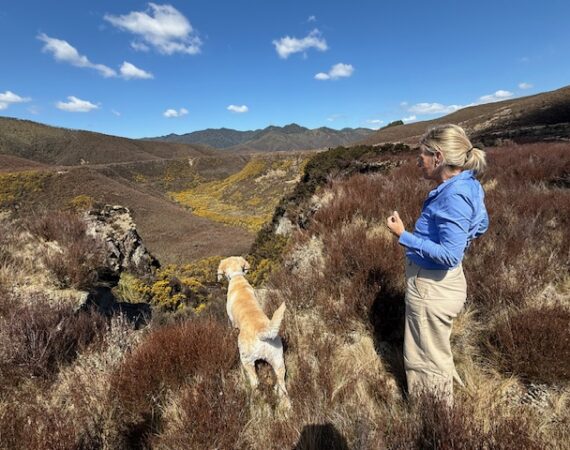 Why We Travel — And What We Bring Home